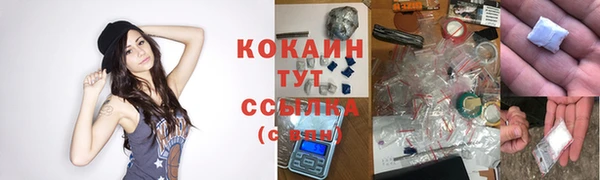 соль ск Вязьма