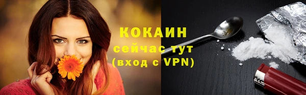прущие грибы Володарск