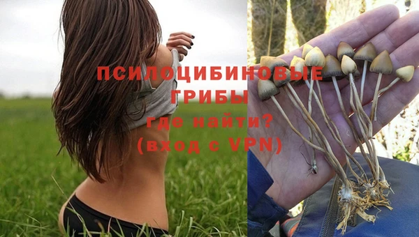 стаф Вязники