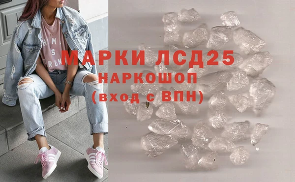прущие грибы Володарск