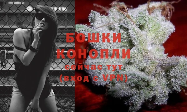 дживик Вяземский