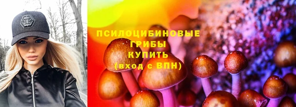 прущие грибы Володарск