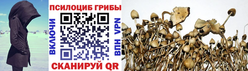 Галлюциногенные грибы прущие грибы  Купить  Заречный 