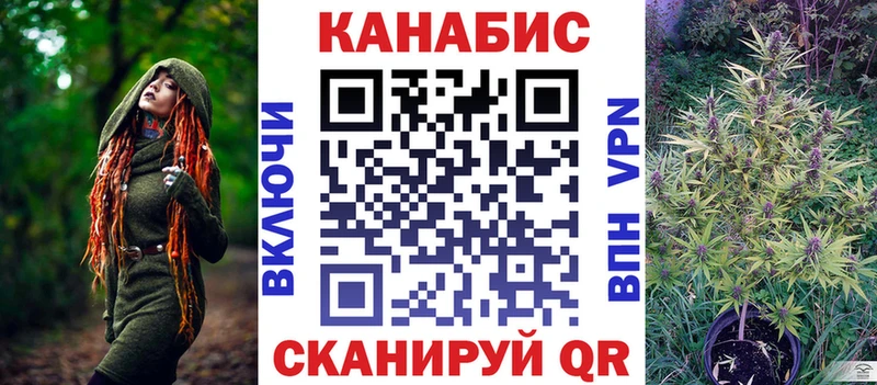 Бошки Шишки планчик Заречный